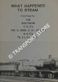 Book cover of What Happened to Steam by HANDS, Peter